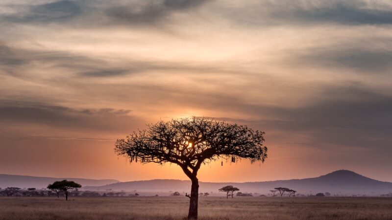 South Africa – Beautiful Country – but – Part 2.